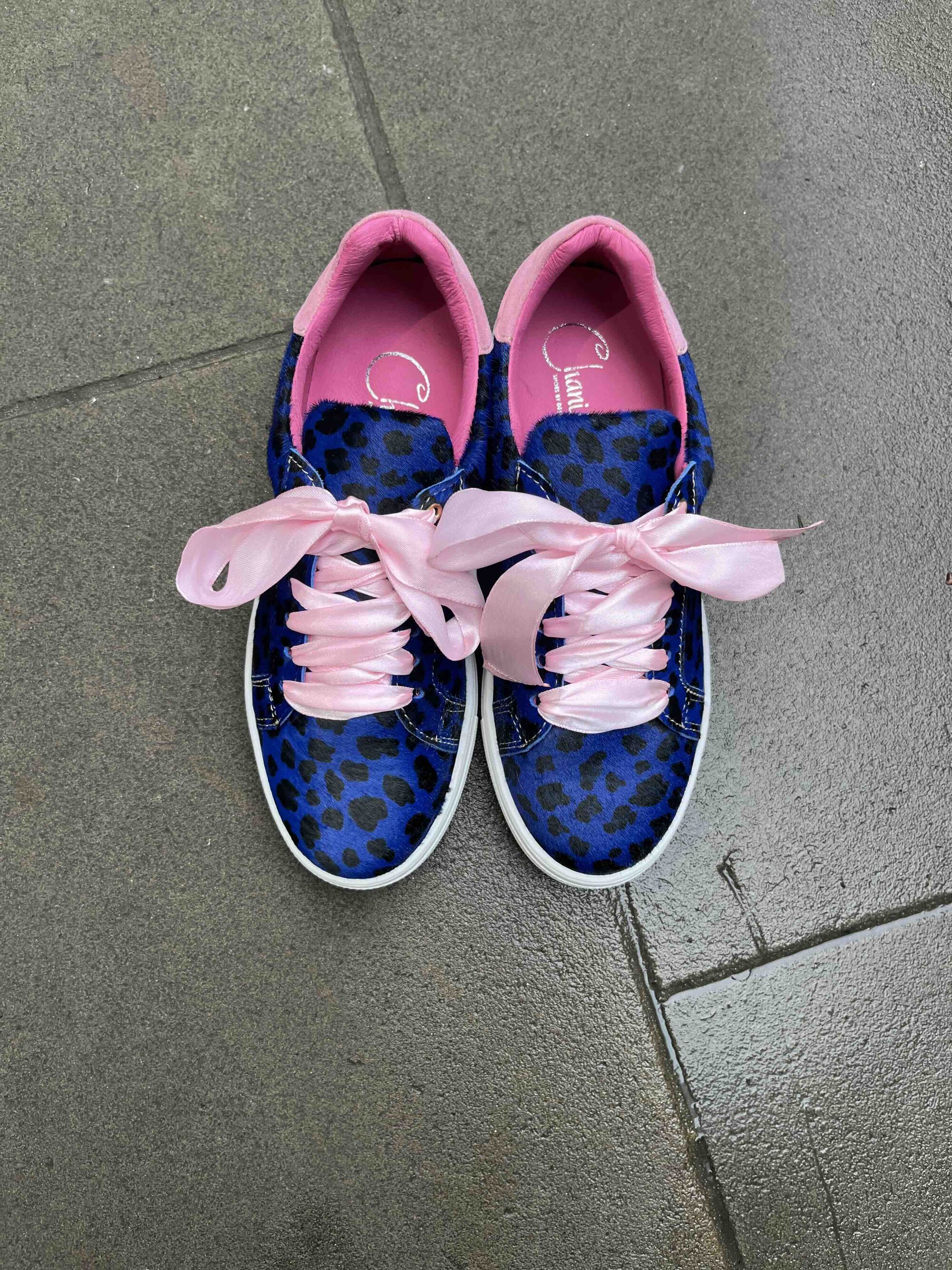 Skate - Blue wildcat -Pink